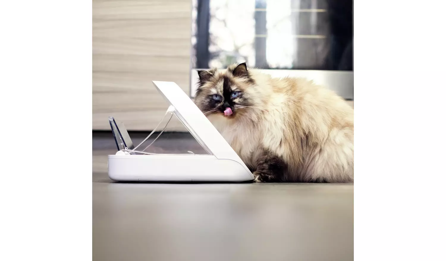 SureFeed Connected Pet Feeder