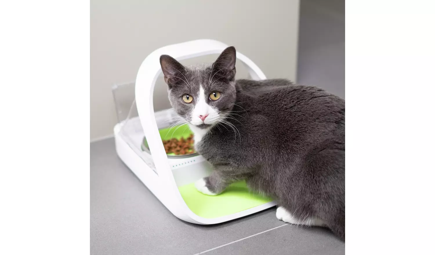 SureFeed Connected Pet Feeder