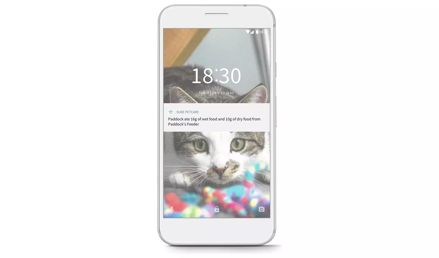 SureFeed Connected Pet Feeder