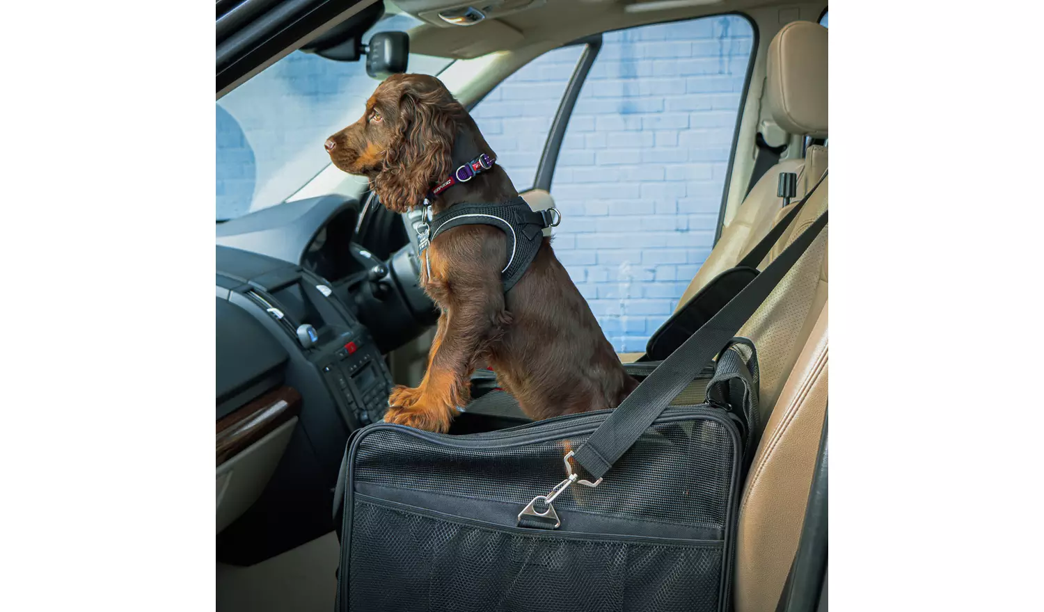 Streetwize Deluxe Foldable Pet Carrier - Black