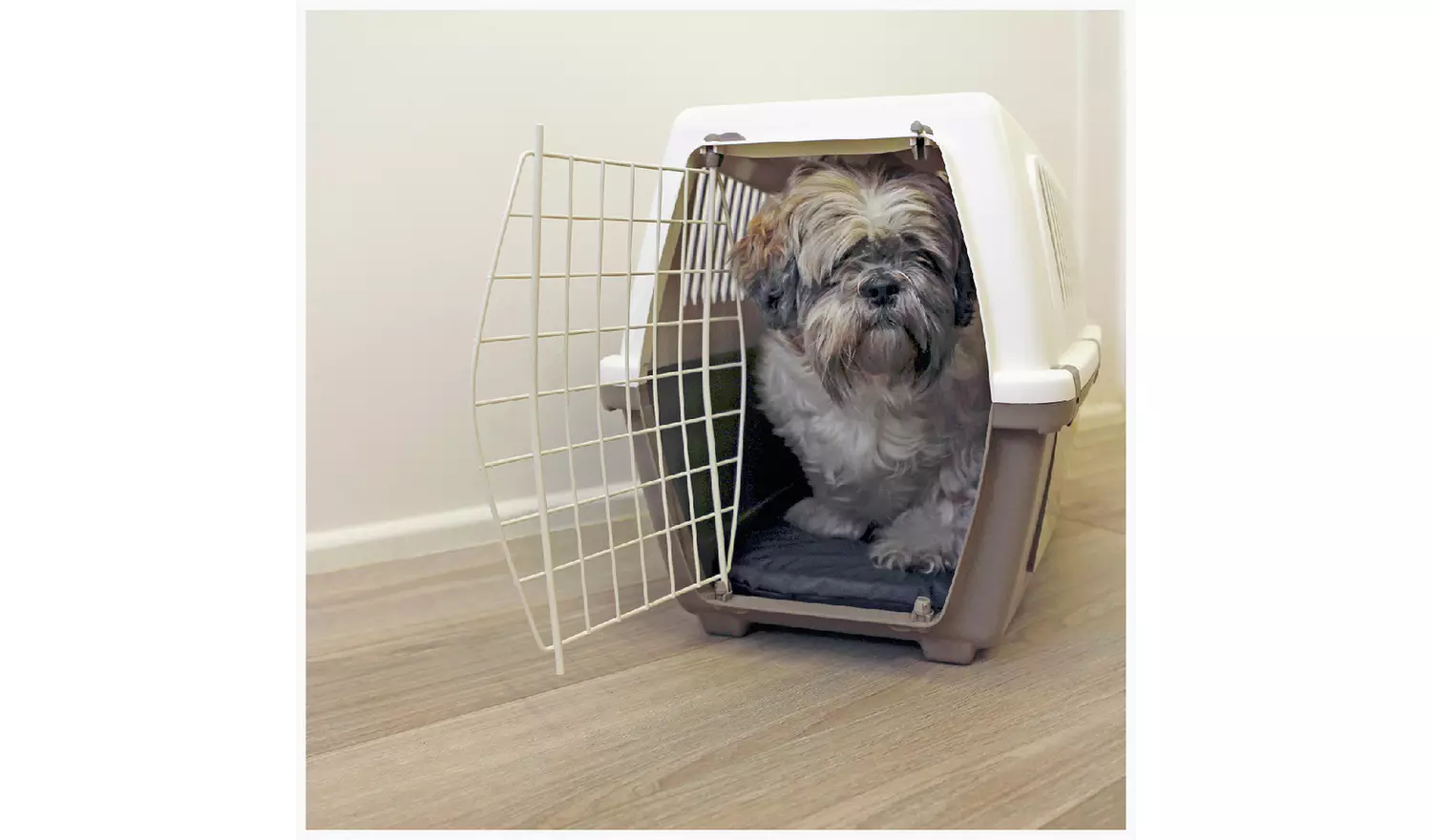 Rosewood Plastic Pet Carrier with Cushion - Large