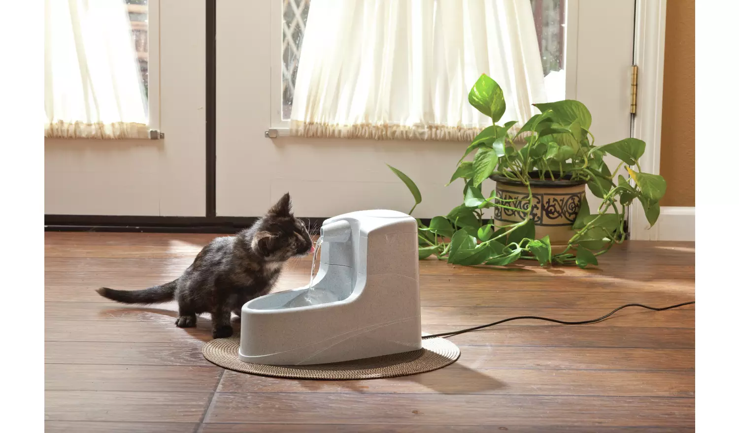 PetSafe Drinkwell Mini Dog and Cat Fountain