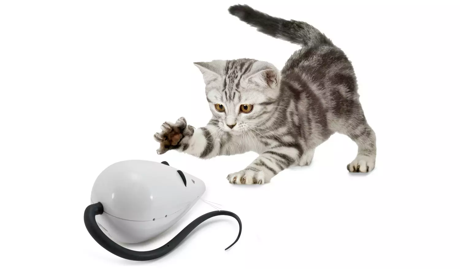 PetSafe FroliCat RoloRat Automatic Cat Toy Teaser