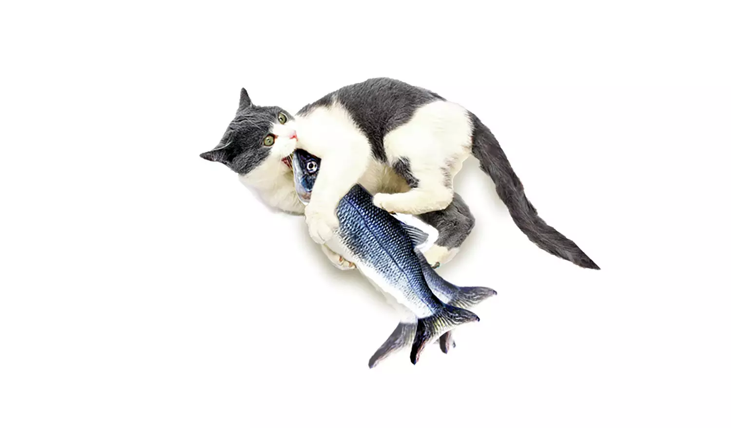 JML Flippity Fish Cat Toy