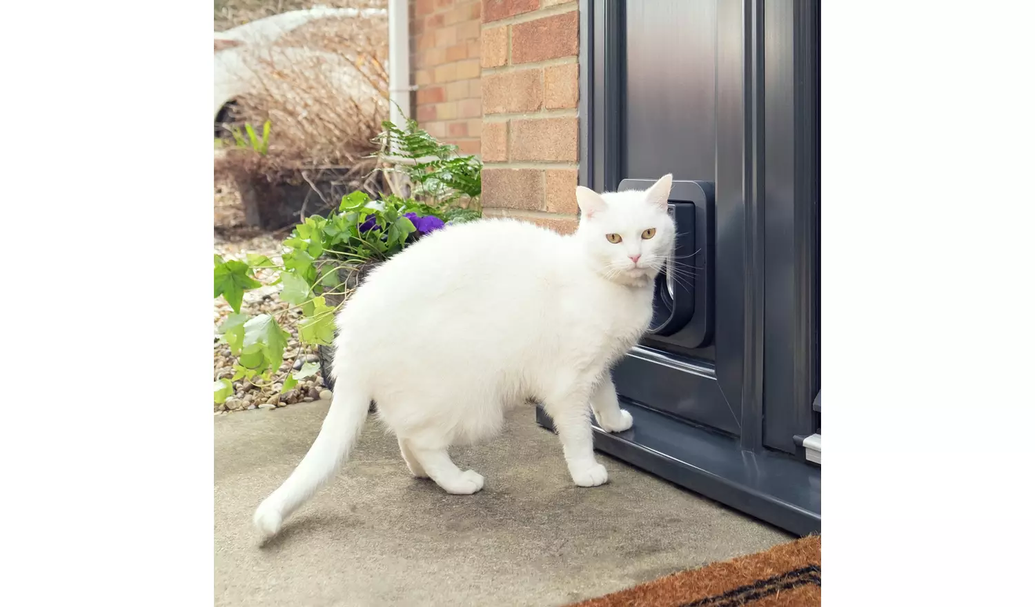 Sureflap Microchip Cat Flap - Grey & White