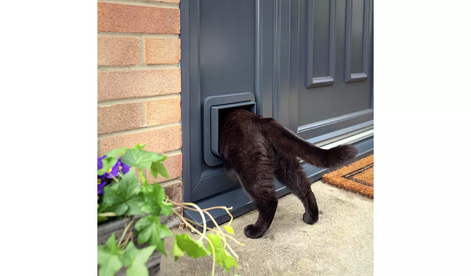 Sureflap Microchip Cat Flap - Grey & White
