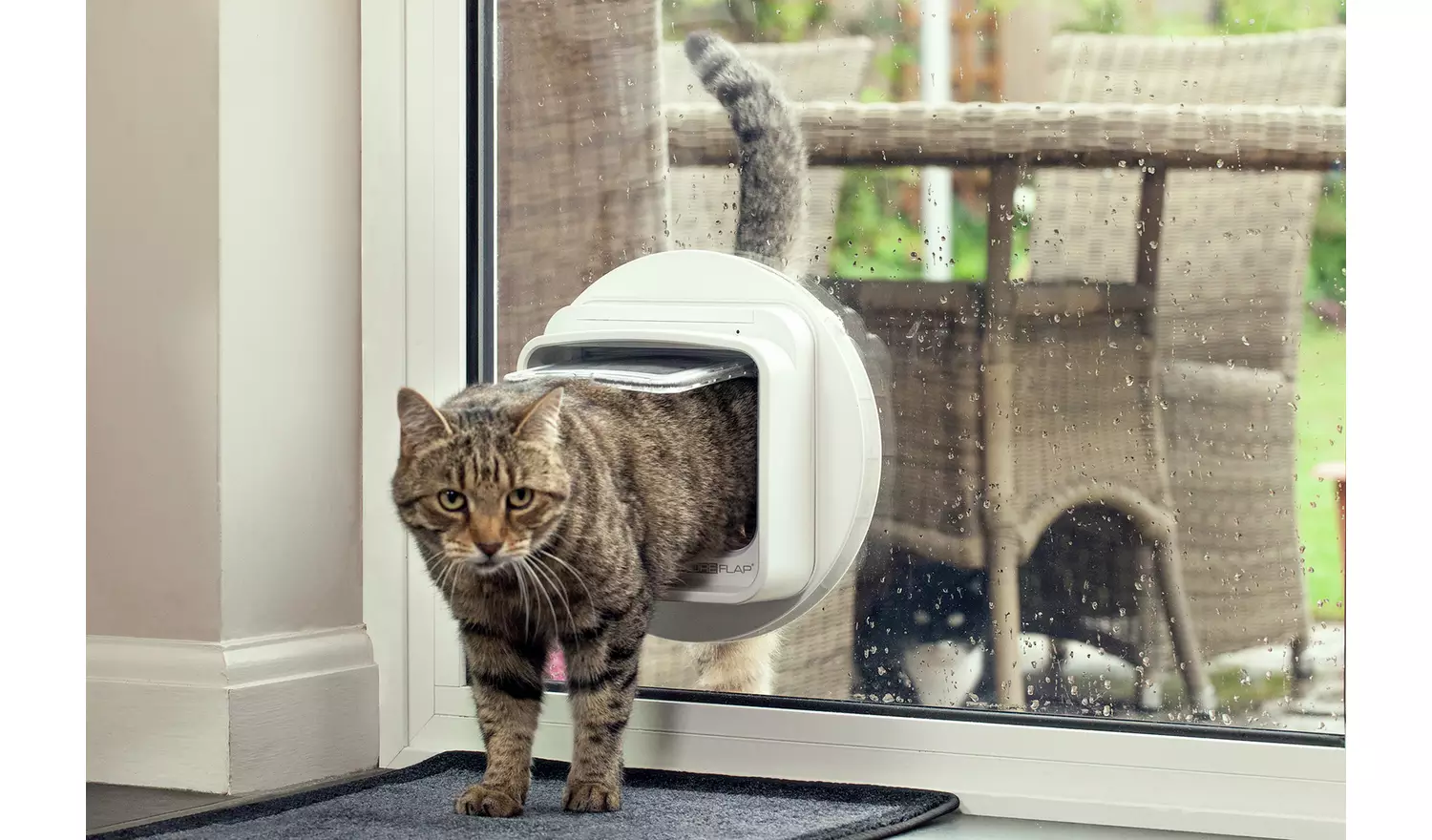 SureFlap DualScan Microchip Cat Flap