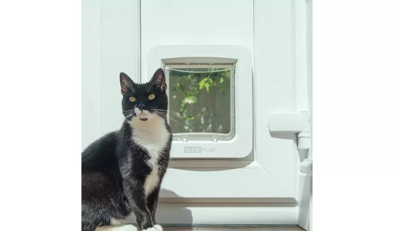 SureFlap Microchip Pet Door Connect with Hub