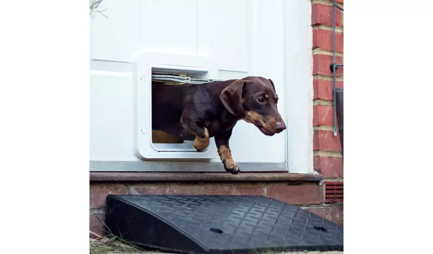 SureFlap Microchip Pet Door Connect with Hub