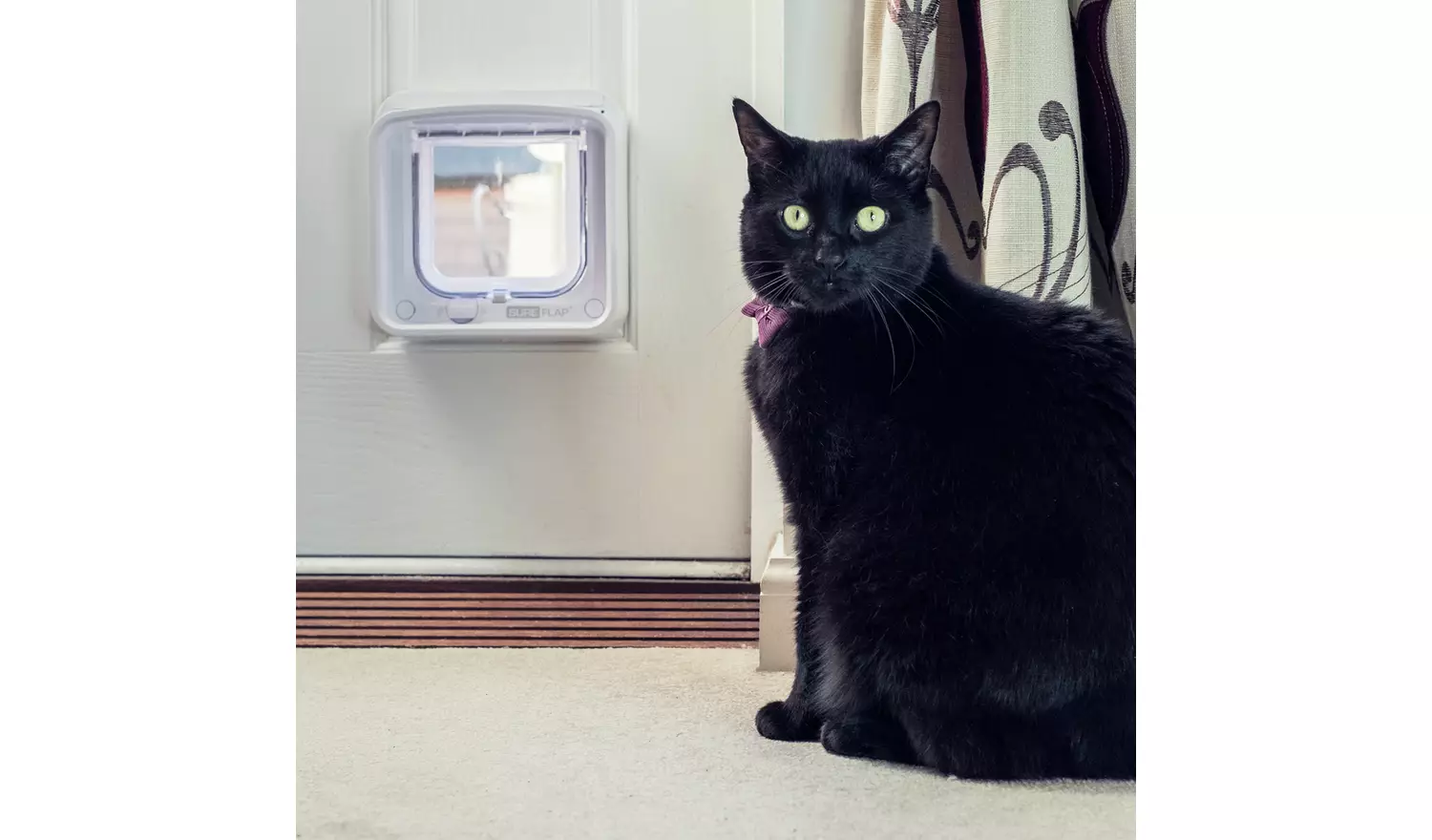 SureFlap Microchip Cat Flap Connect with Hub