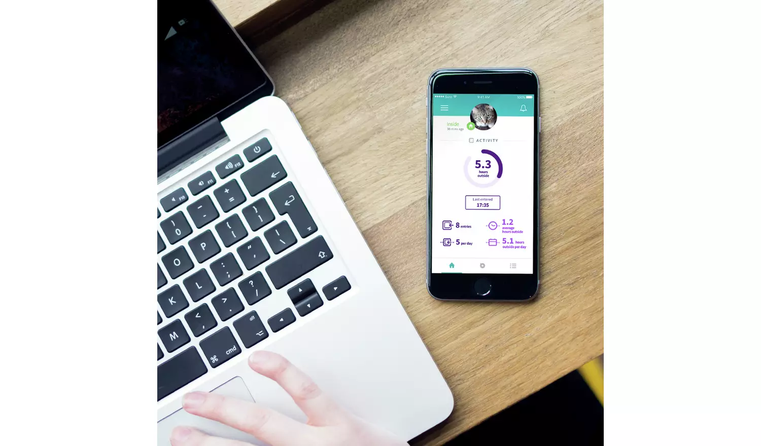 SureFlap Microchip Cat Flap Connect with Hub