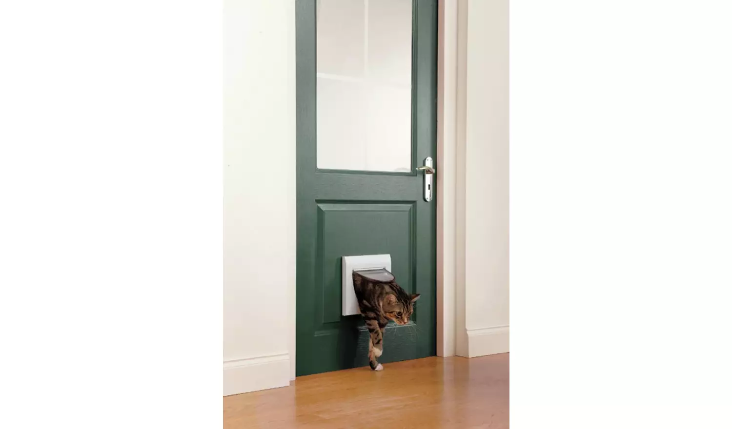PetSafe Staywell Magnetic 4 Way Locking Classic Cat Flap
