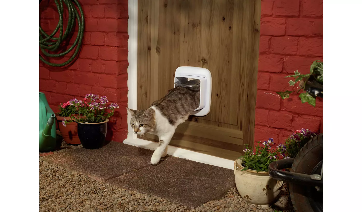 PetSafe Microchip Cat Flap