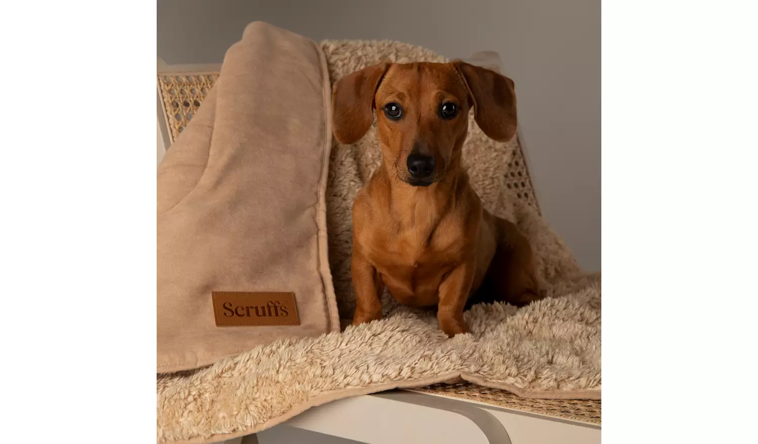 Scruffs Snuggle Blanket-Desert Sand