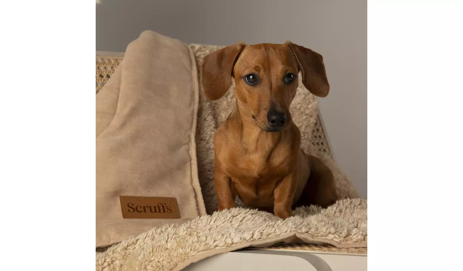 Scruffs Snuggle Blanket-Desert Sand