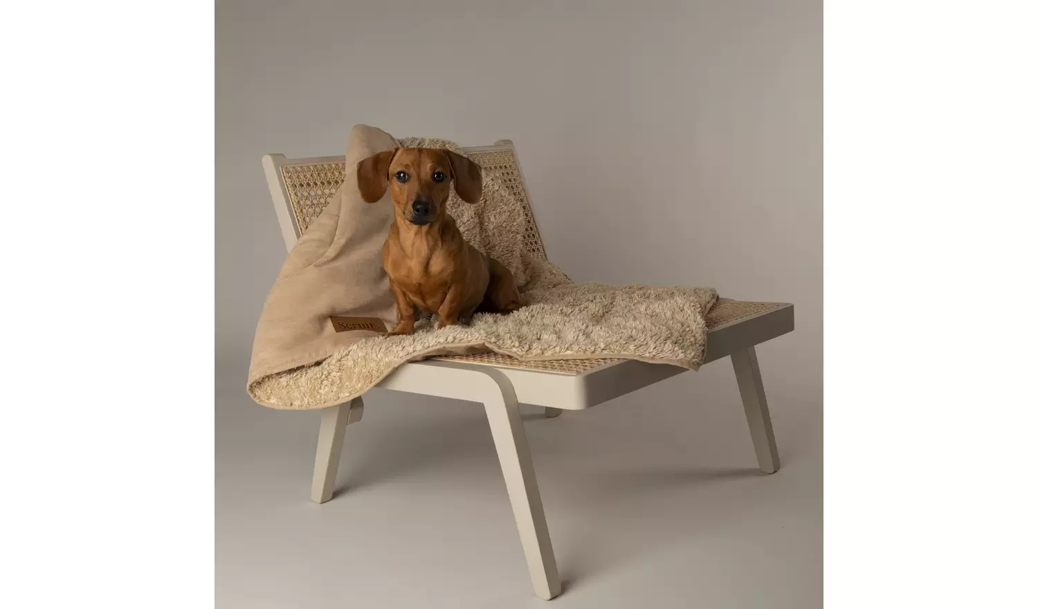 Scruffs Snuggle Blanket-Desert Sand