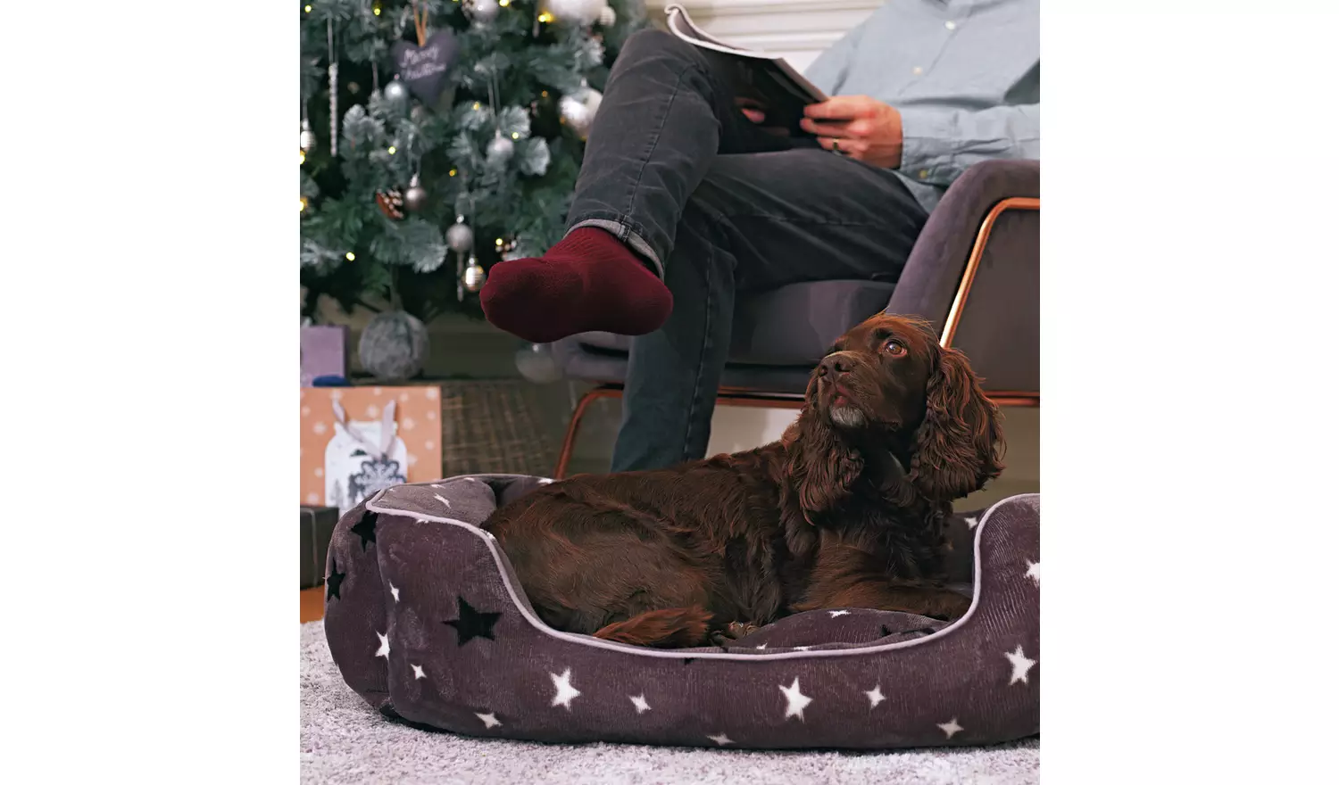 Stars Plush Square Bed - Small