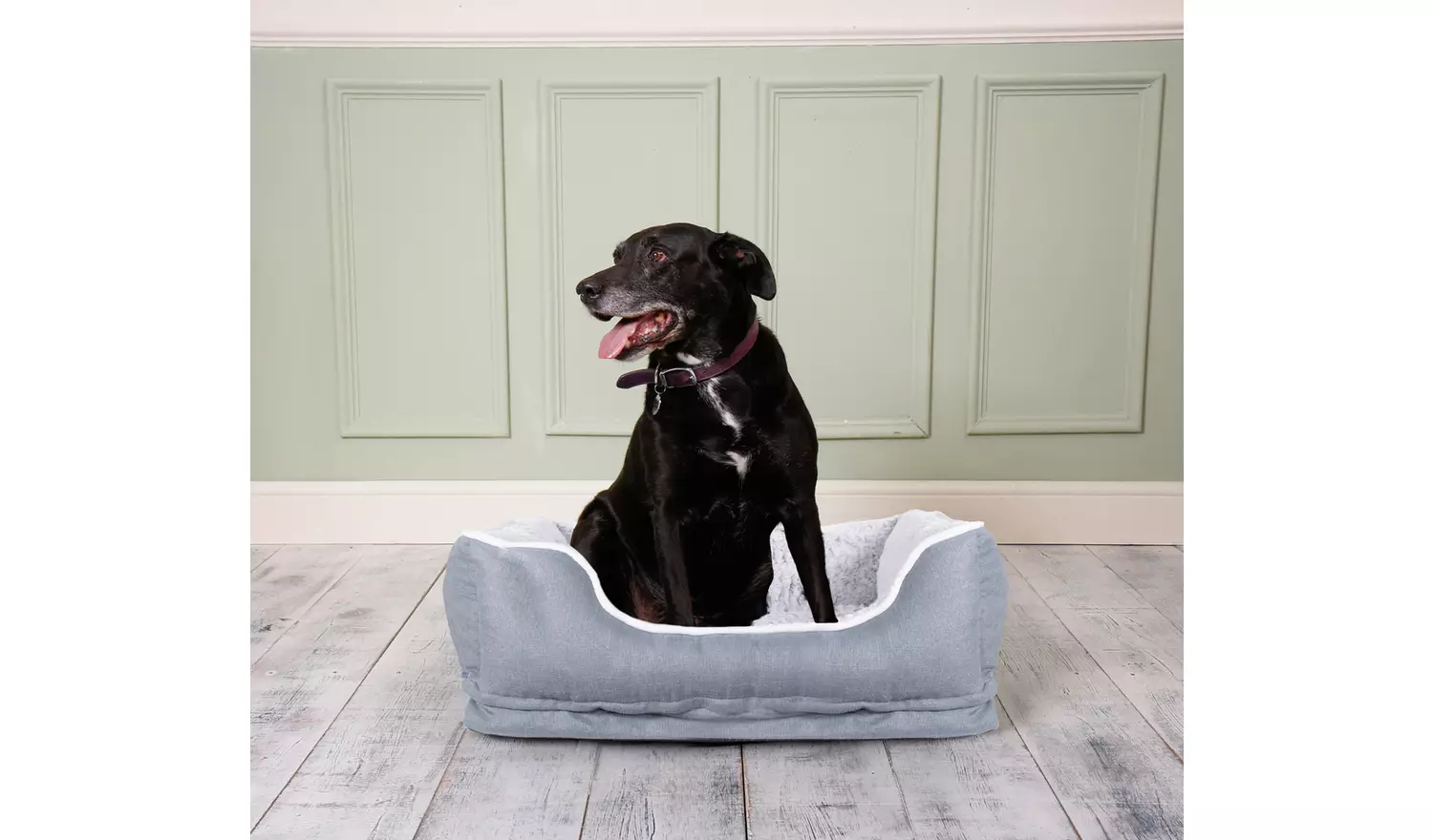 Dream Paws Pet Sofa Bed - Medium