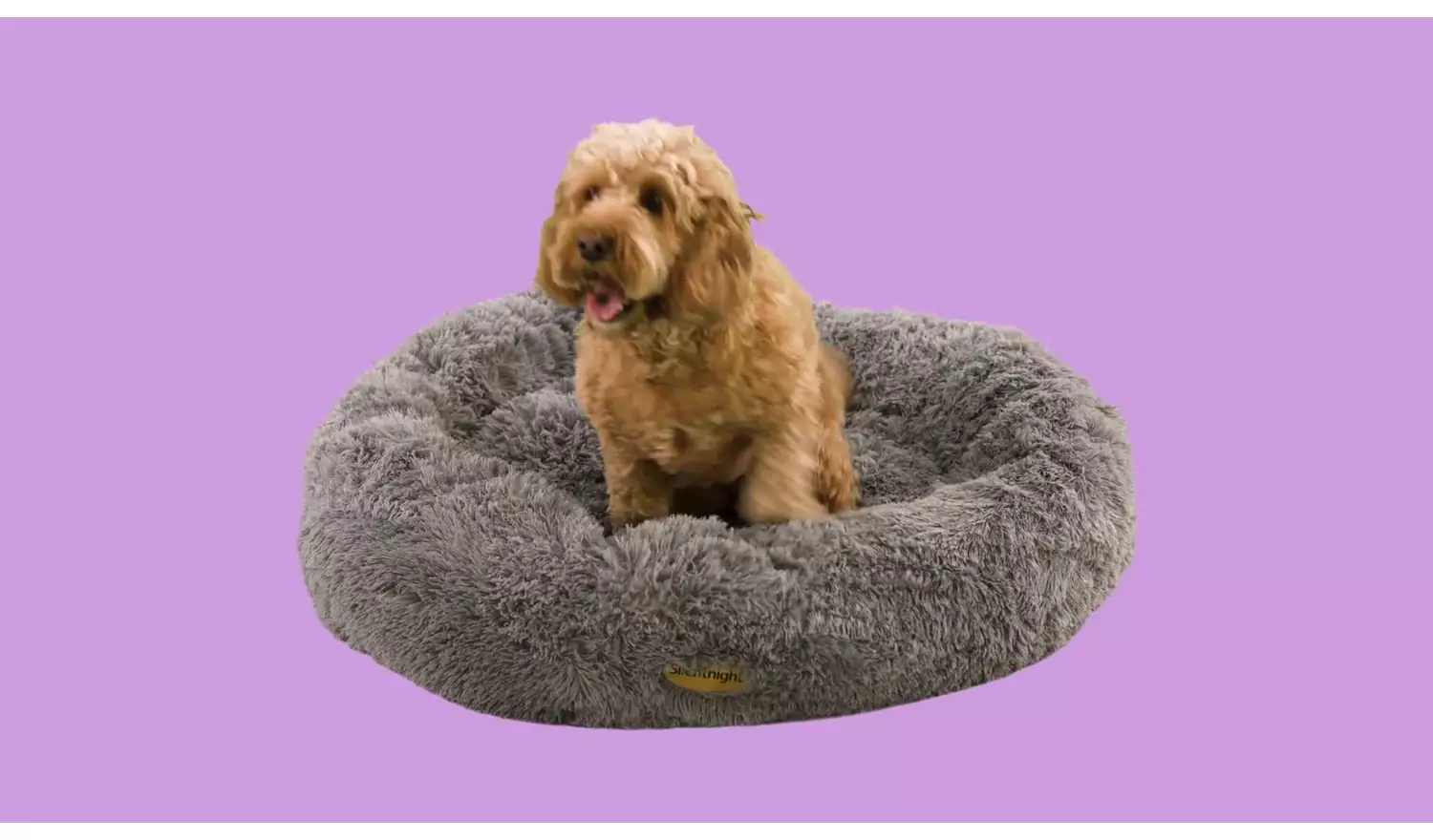 Silentnight Donut Pet Bed Grey - Small