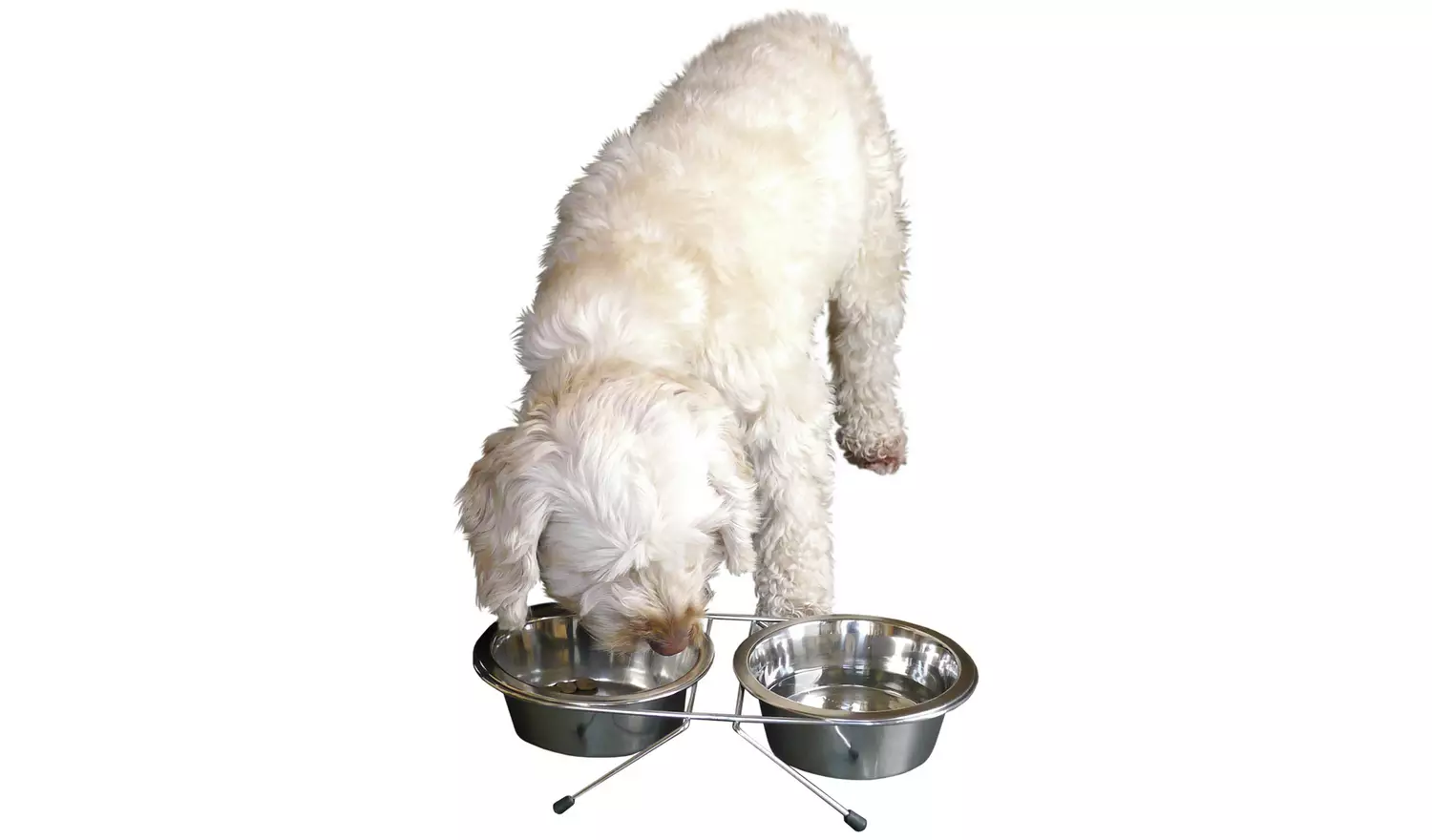 Rosewood Double Dog And Cat Plain Diner - Medium