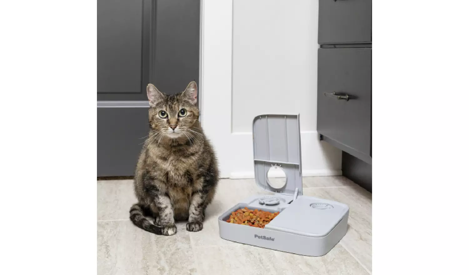 Petsafe Automatic 2 Meal Dog And Cat Feeder