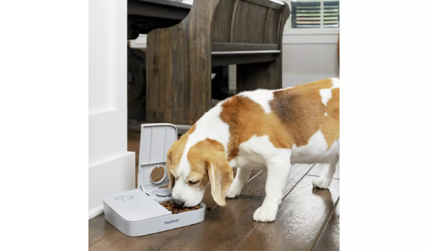 Petsafe Automatic 2 Meal Dog And Cat Feeder