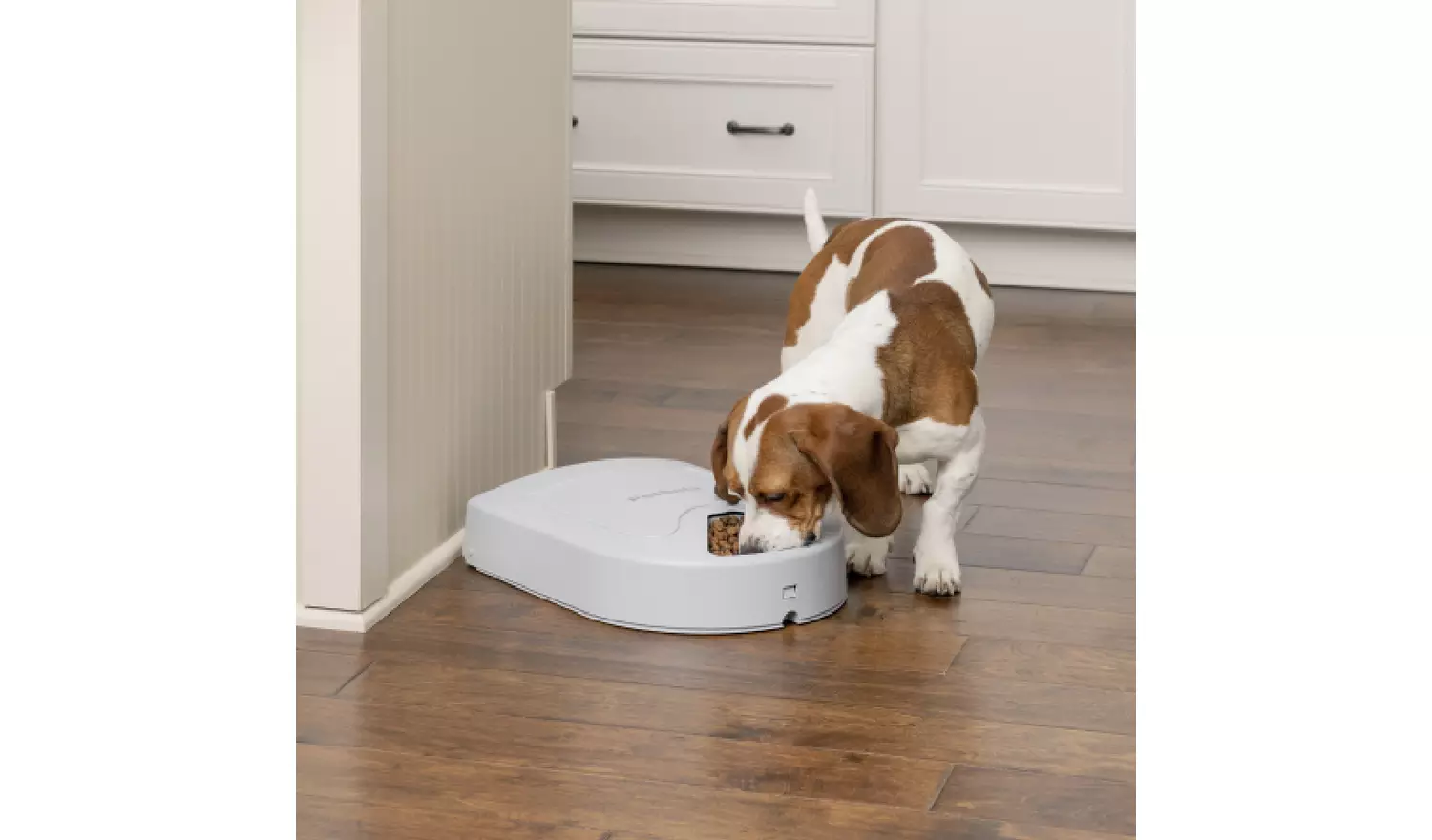 Petsafe 5 Meal Dog And Cat Feeder