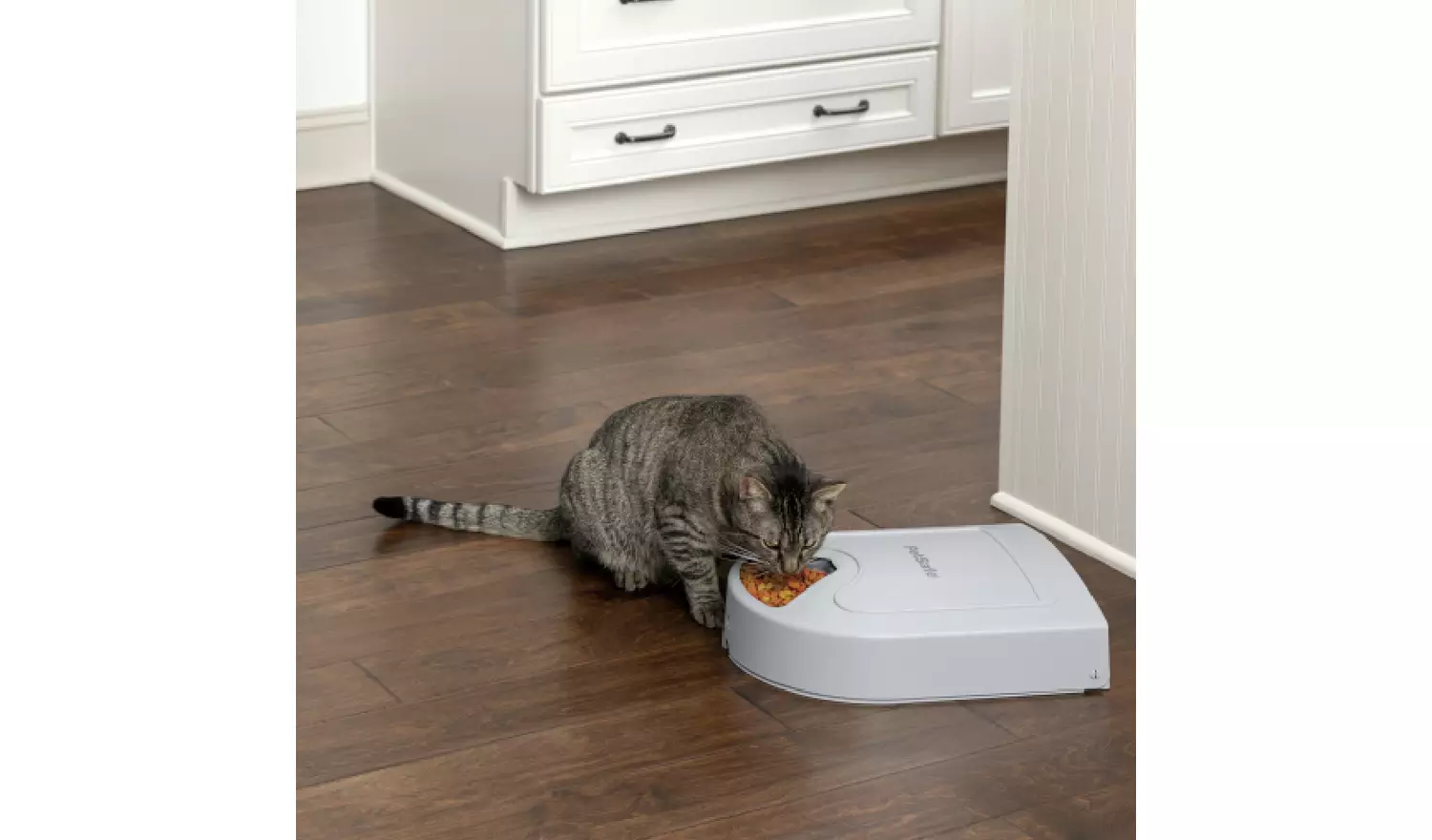 Petsafe 5 Meal Dog And Cat Feeder