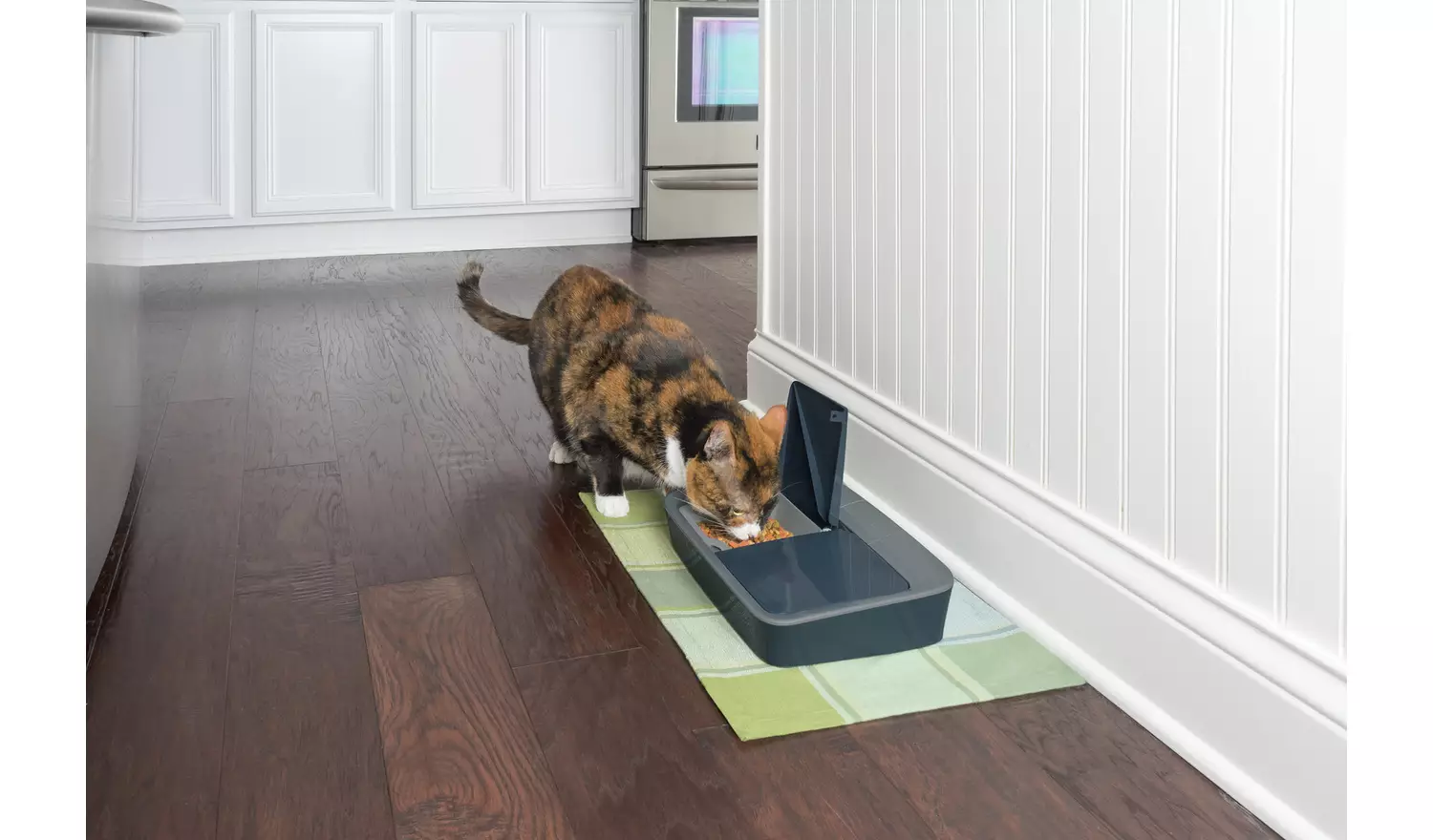 PetSafe Digital Two Meal Dog and Cat Feeder