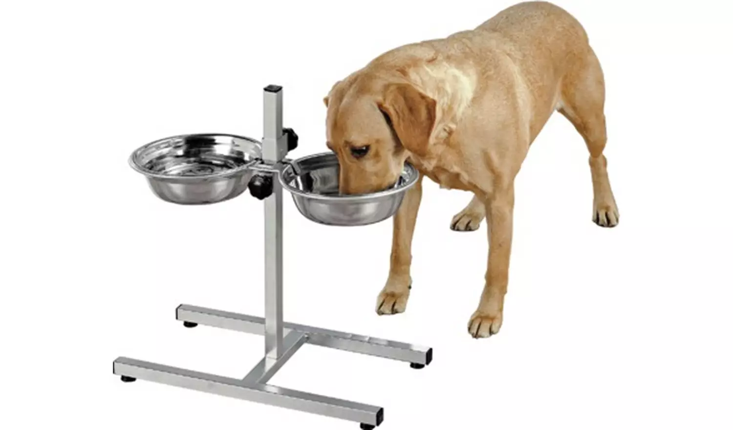 Stainless Steel Dual Dog Dining Set - Large