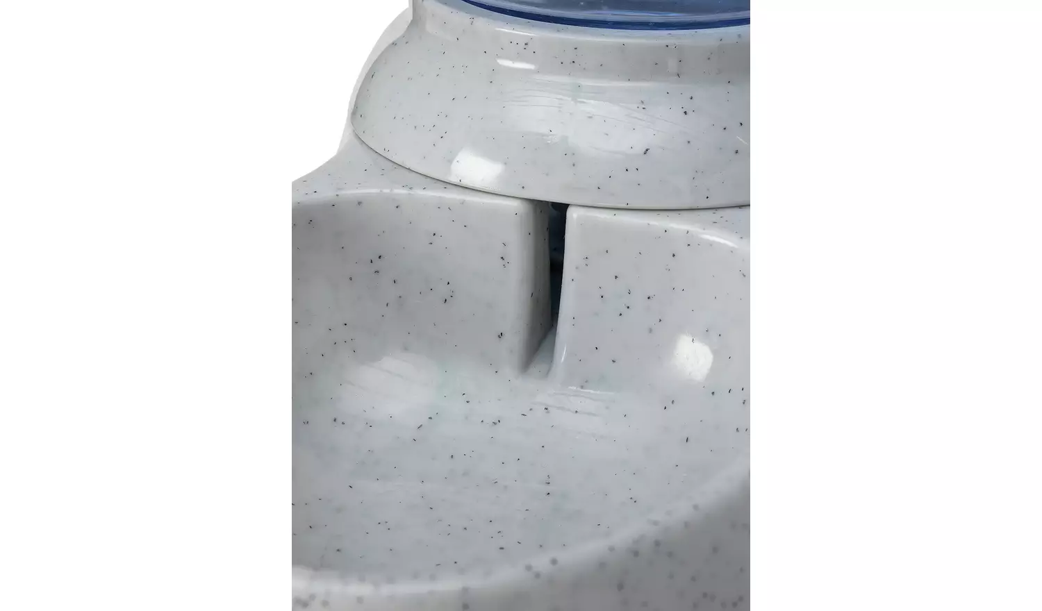 Dog and Cat Water Dispenser