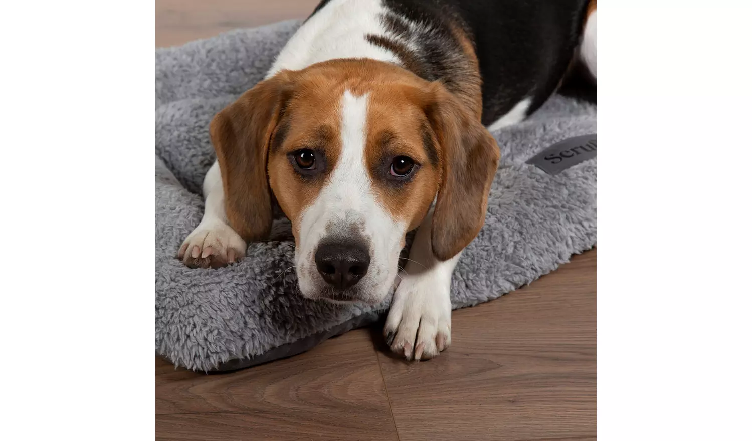 Scruffs Cosy Dog Grey Crate Mat - Medium