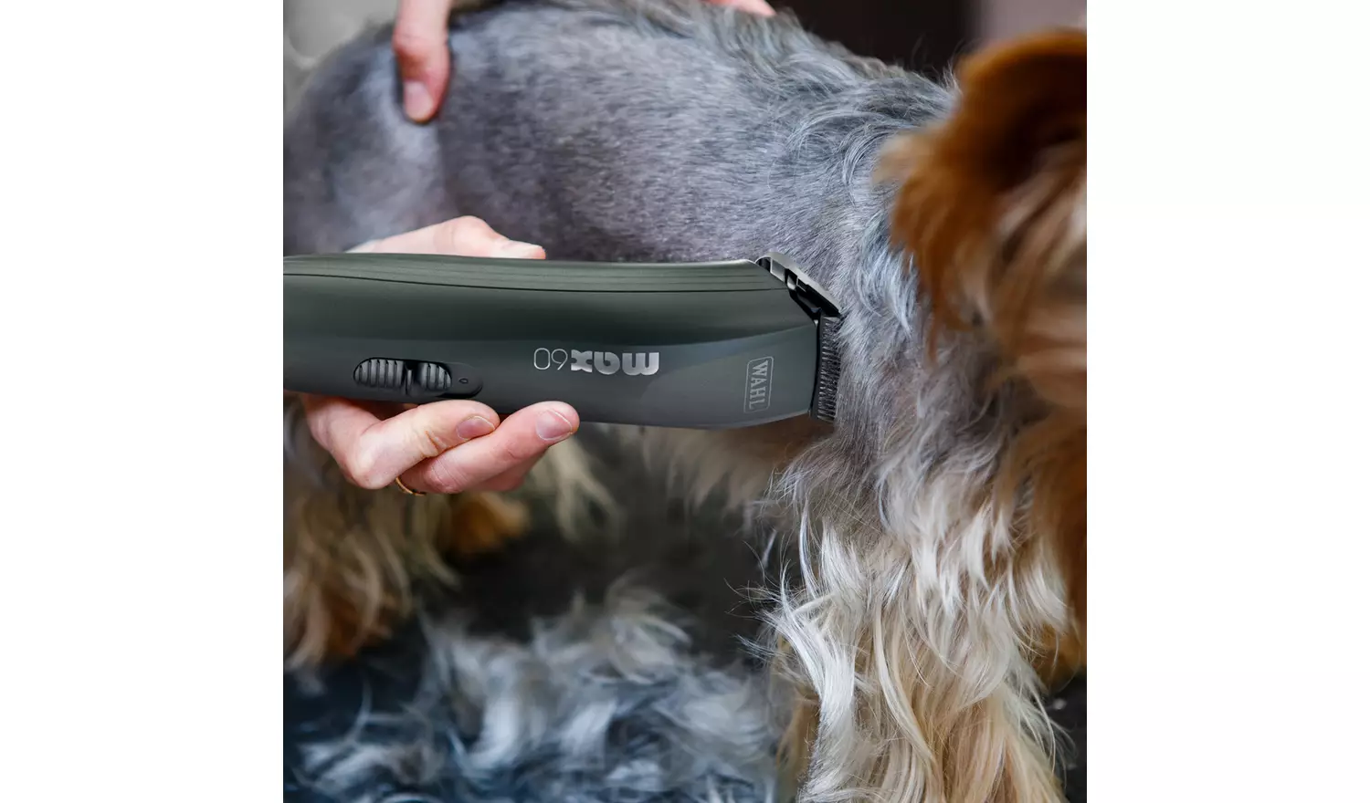 Wahl Max 60 Brushless DC Rotary Motor Dog Clipper Kit