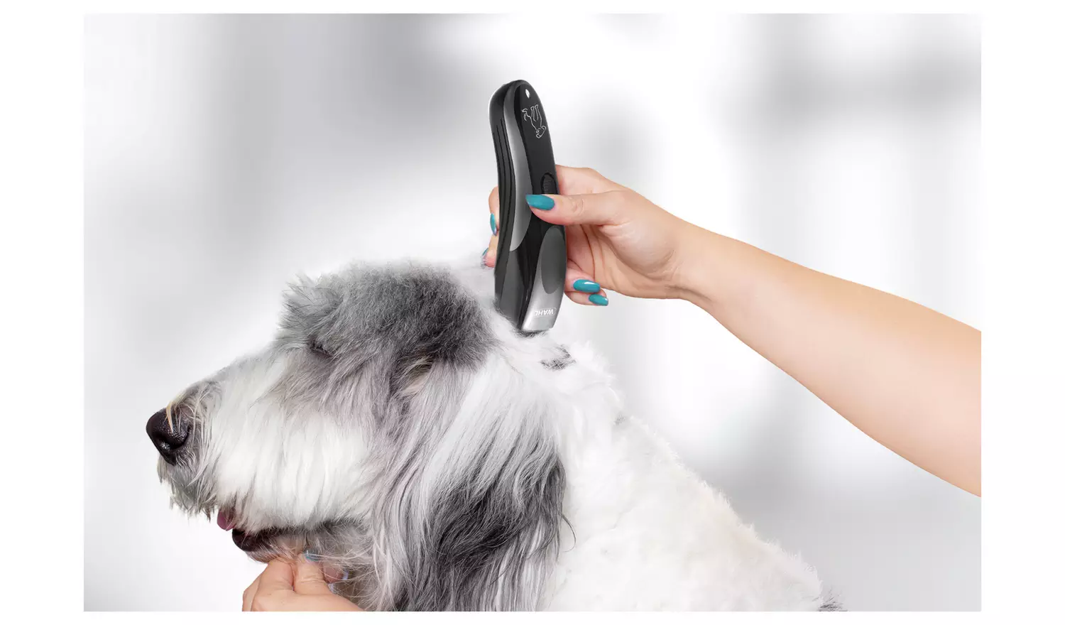 Wahl Rechargeable Pet Clipper Kit