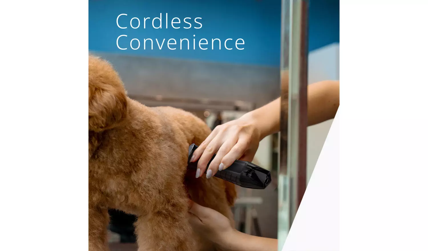 Wahl Smart Clip Dog Clipper & Trimmer Kit