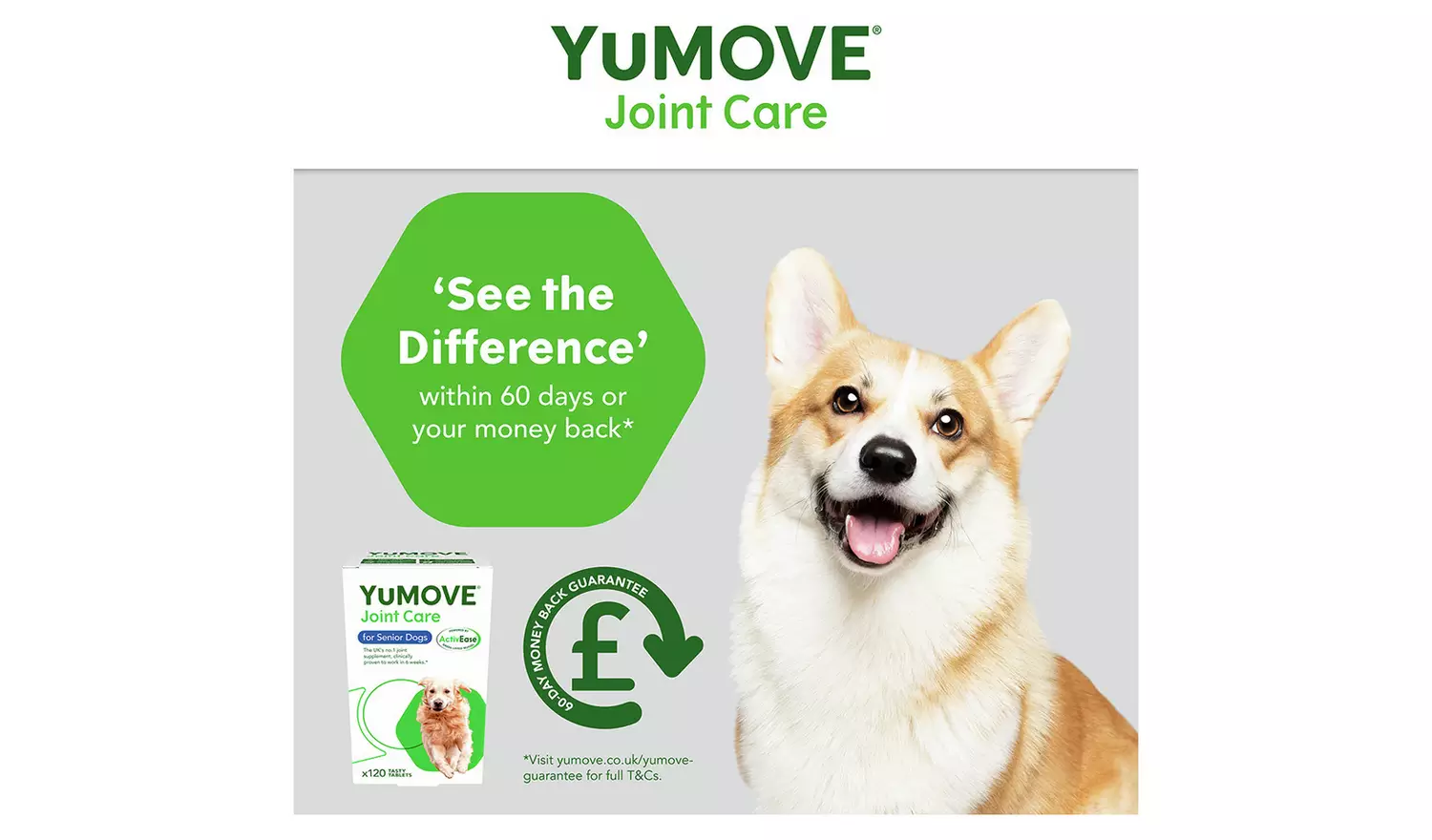 Yumove Joint Supplement Senior Dog Tablets - 120