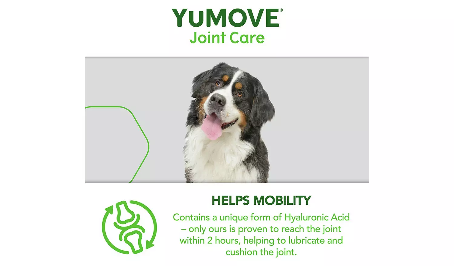 Yumove Joint Supplement Senior Dog Tablets - 120