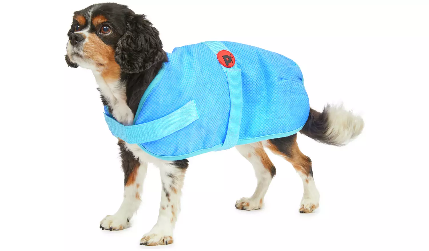 Petface 40cm Cooling Dog Coat