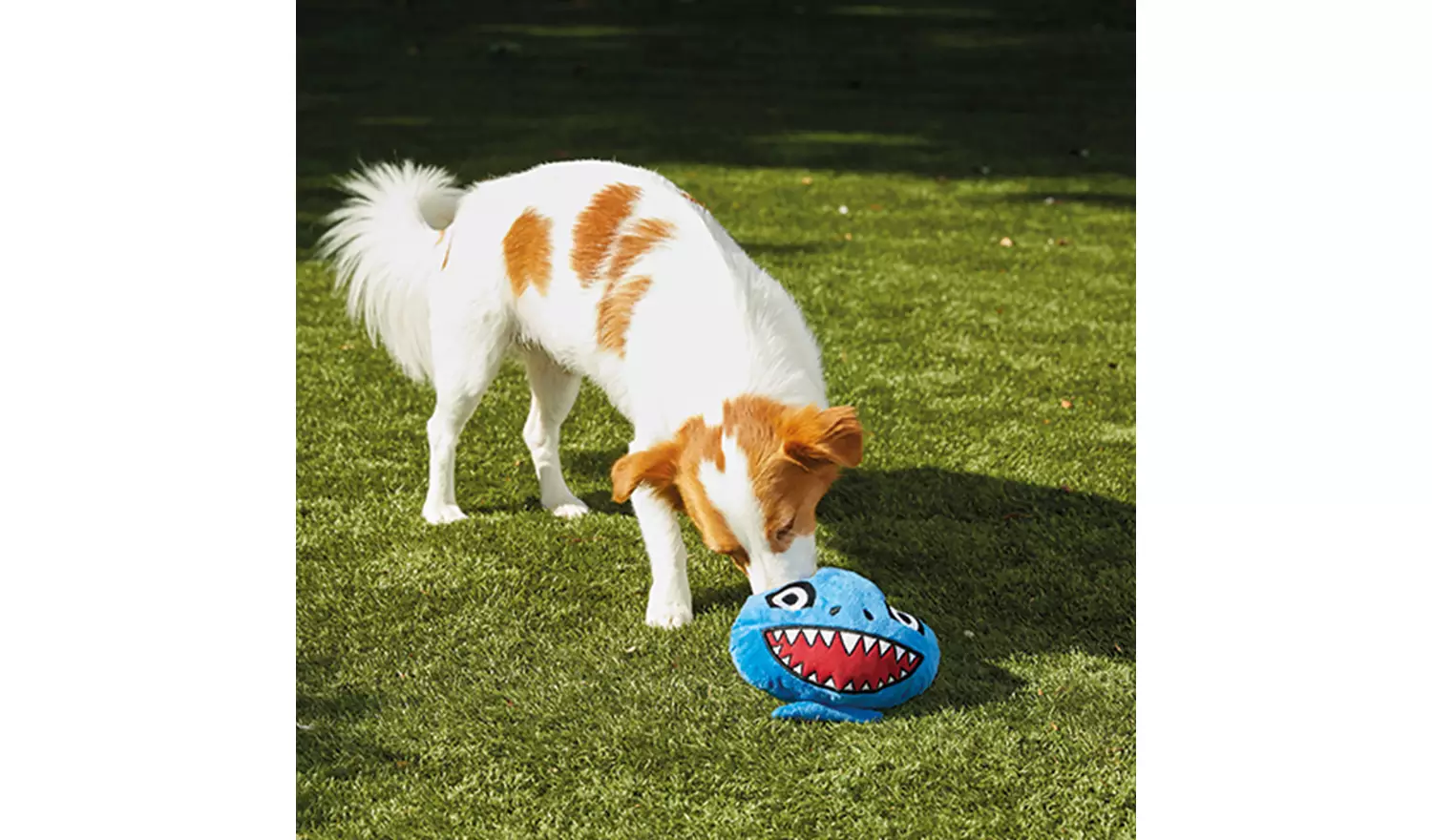 JML Chuckle Chums Shark Dog Toy