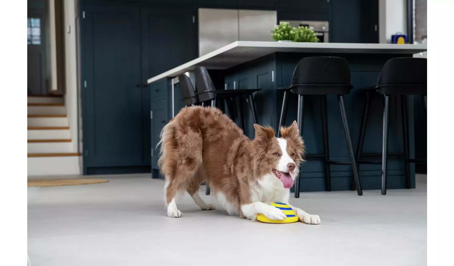 JML Woof Glider Dog Toy