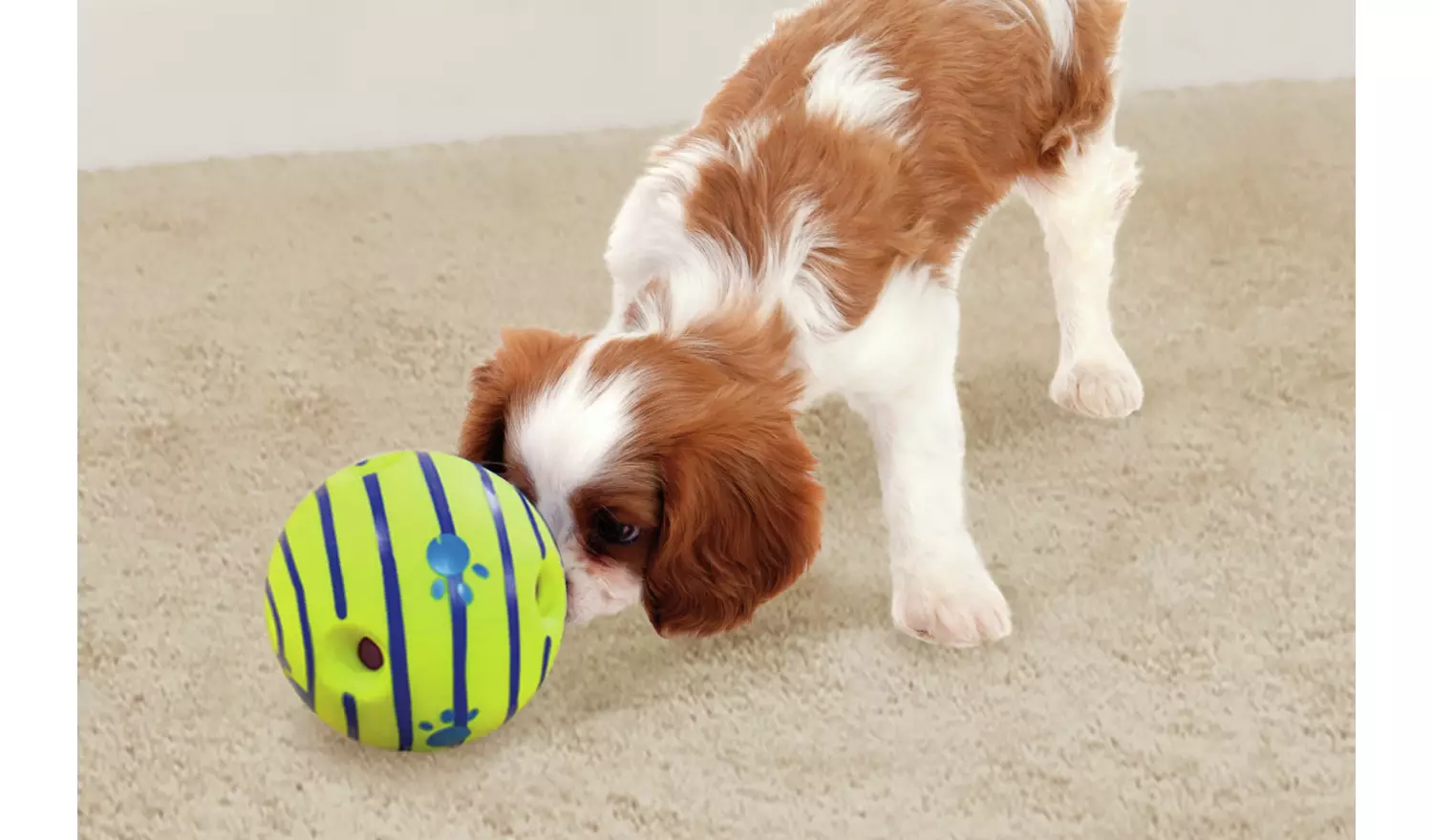 JML Wobble Wag Giggle Ball Dog Toy