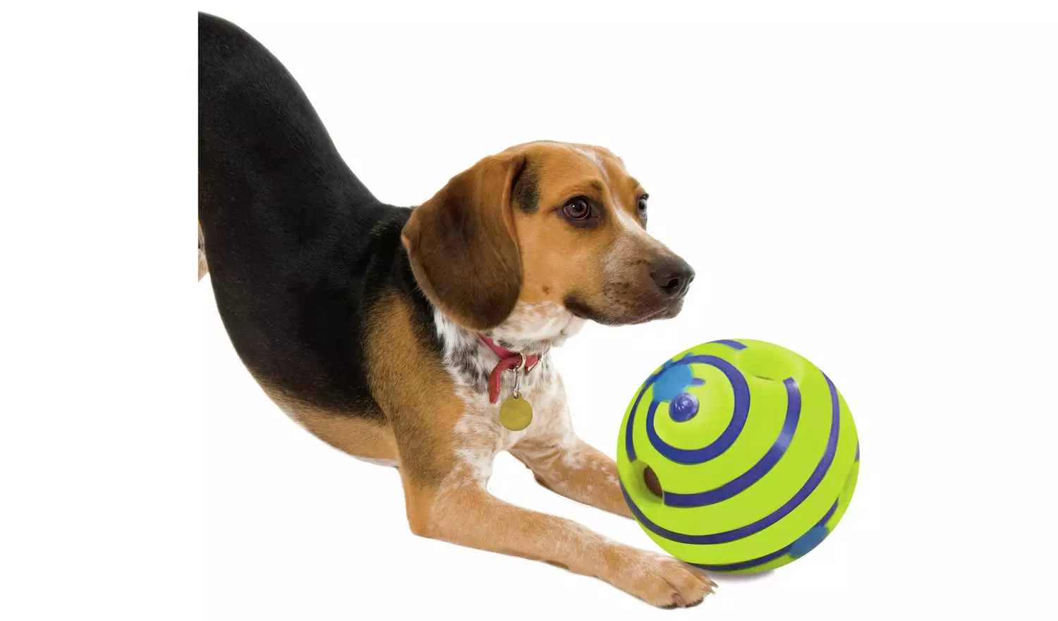 JML Wobble Wag Giggle Ball Dog Toy
