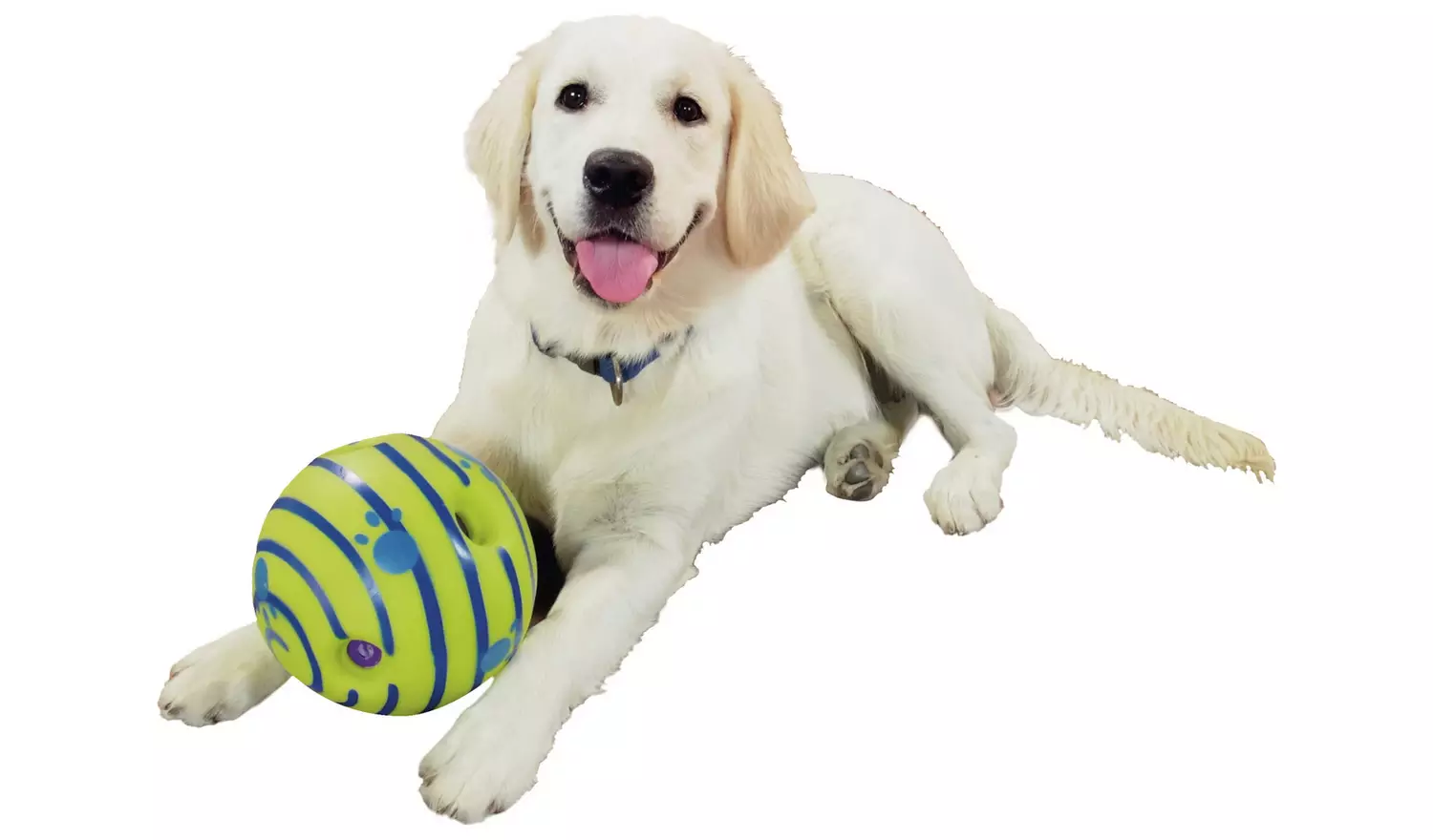 JML Wobble Wag Giggle Ball Dog Toy