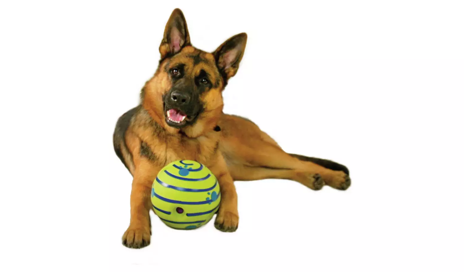 JML Wobble Wag Giggle Ball Dog Toy