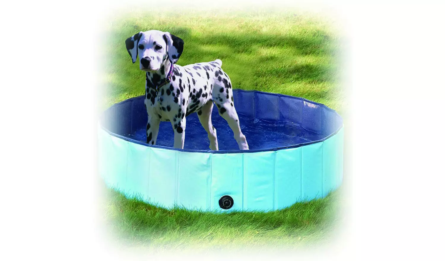 Dogs Paddling Pool - Medium