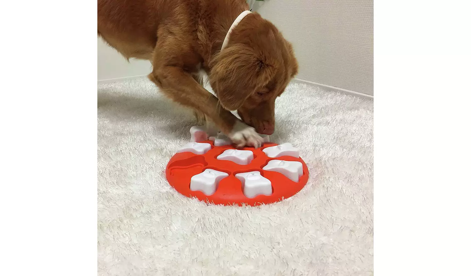 Nina Ottoson Dog Smart Dog Toy