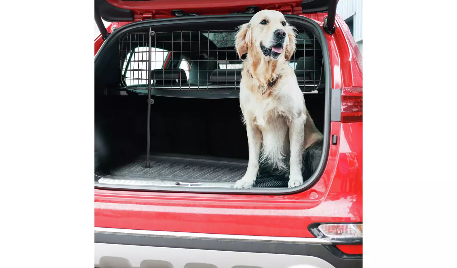 Streetwize Universal Heavy-Duty Mesh Car Dog Guard