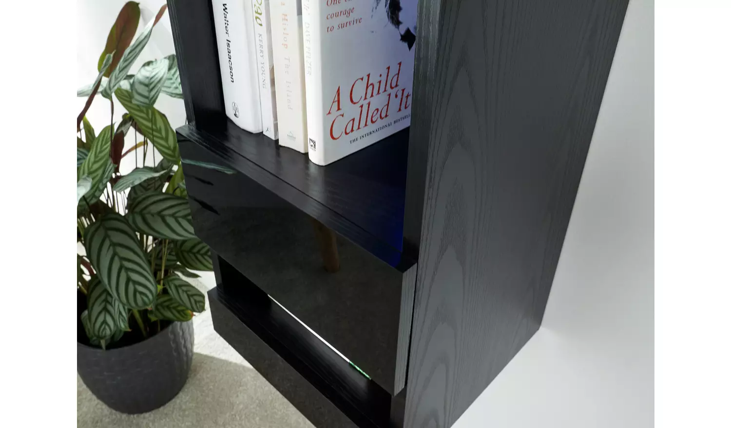 GFW Galicia Wall Mounted Narrow LED Bookcase - Black