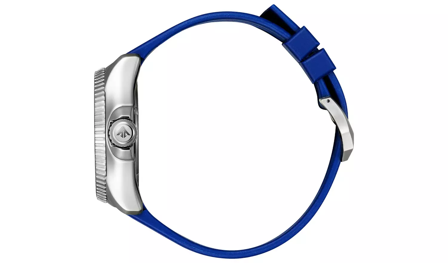 Citizen Blue Pro Master Divers Watch