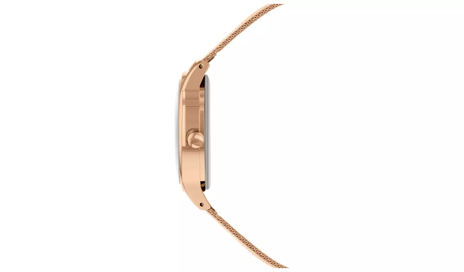 Radley Dog In Moon Rose Gold Mesh Strap Watch/ Bracelet Set